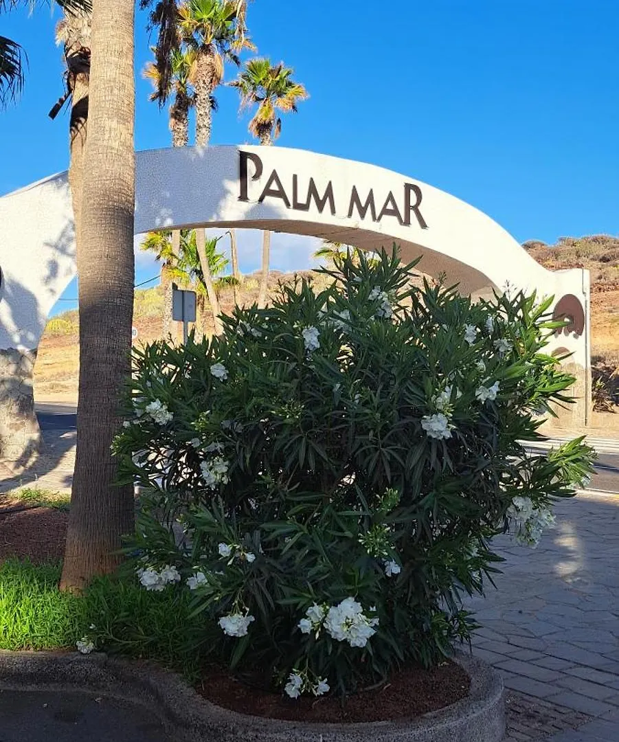 Apartmán Casa Beno Palm-mar 0*,