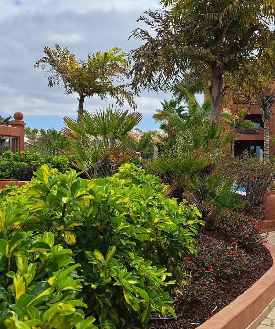 Appartement Casa Beno à Palm-mar